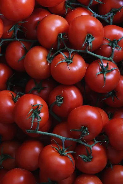 Verse rijpe tomaten — Stockfoto