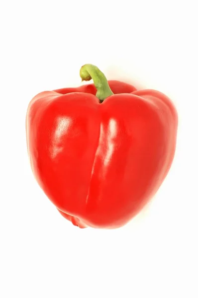 Röd paprika — Stockfoto