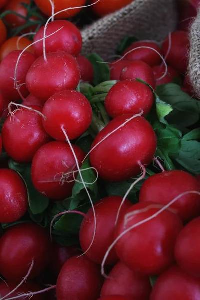 Ravanelli rossi freschi — Foto Stock