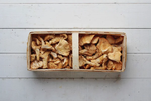Funghi selvatici in scatola di legno — Foto Stock