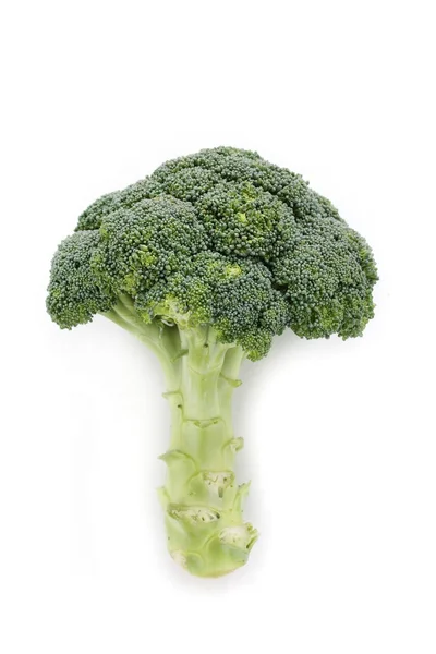 Fresh broccoli closeup — Stock Photo, Image