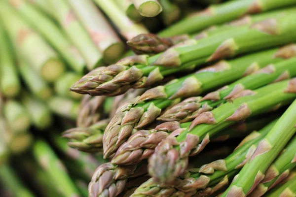 taze kuşkonmaz spears