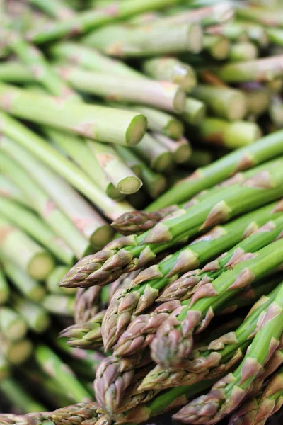 taze kuşkonmaz spears