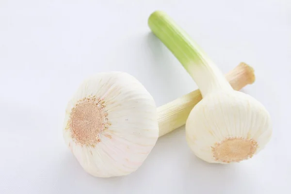 Knoblauch Nahaufnahme isoliert — Stockfoto