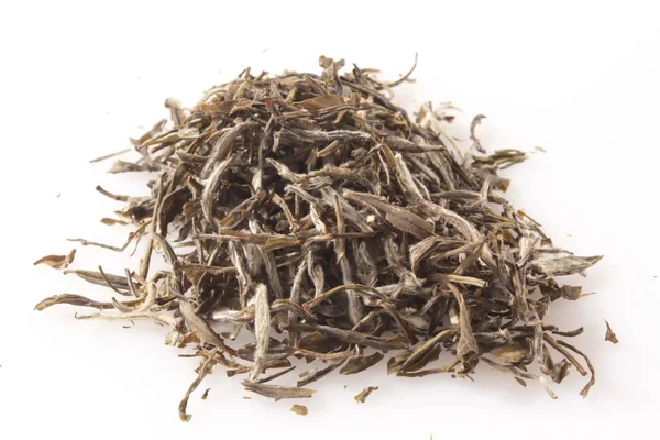 White tea, silver needle tea — Stock Photo, Image