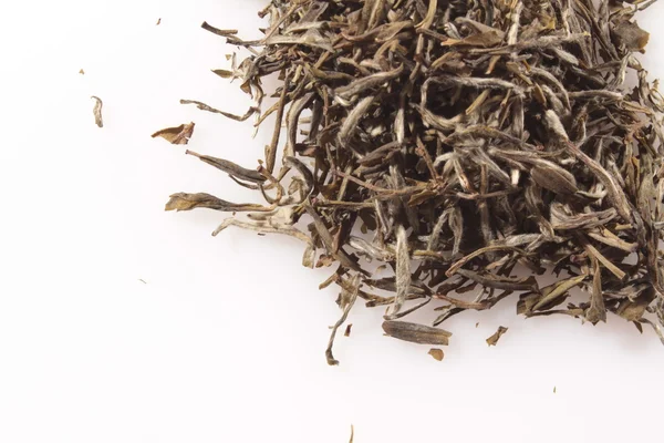 Té de aguja blanca — Foto de Stock