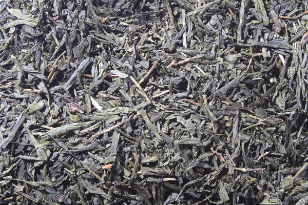 Té de aguja de plata — Foto de Stock