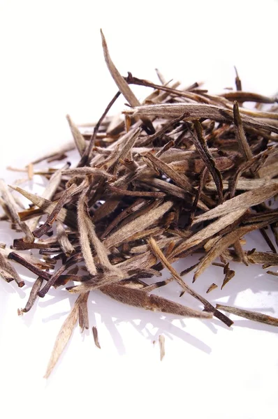 White needle tea — Stock Photo, Image