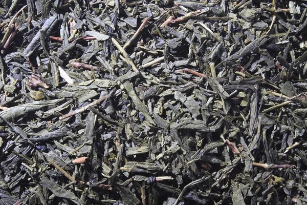 Srebrne igły herbaty — Zdjęcie stockowe