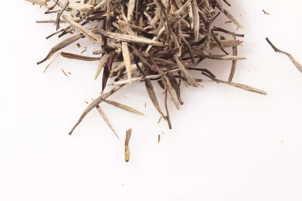 Té de aguja blanca — Foto de Stock