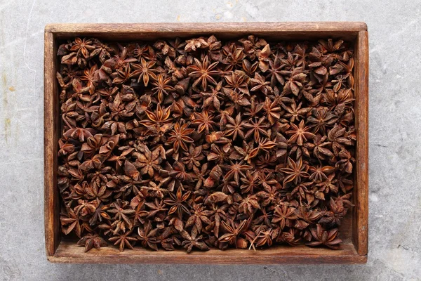 Star anise spice — Stock Photo, Image