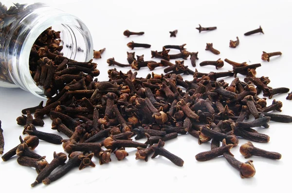 Fresh cloves spices — Stock Photo, Image
