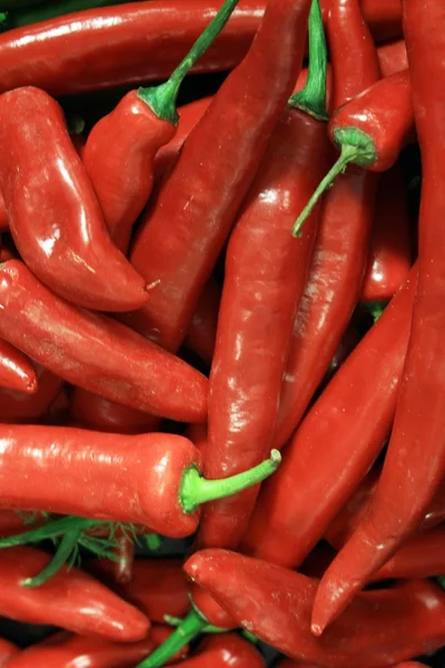 Fresh red chillies — Stock Photo, Image