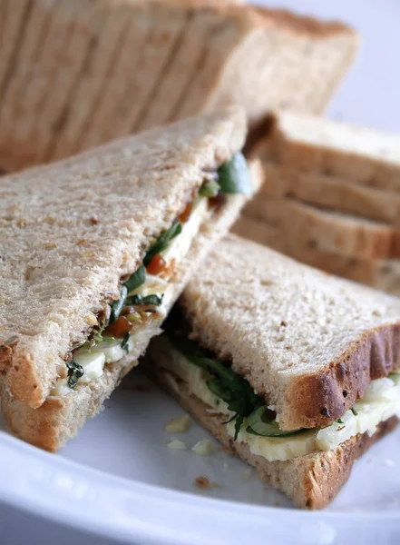 Sandwiches on white plate — Stock Photo, Image