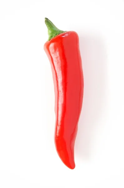 Röd chilipeppar — Stockfoto