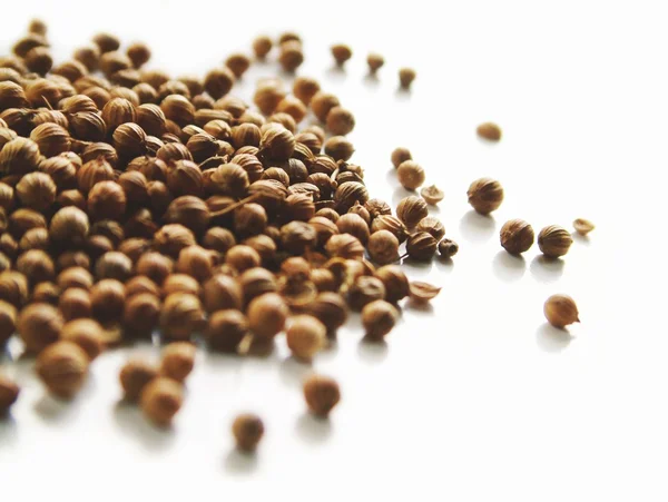 Coriander seeds isolated — Stock Photo, Image