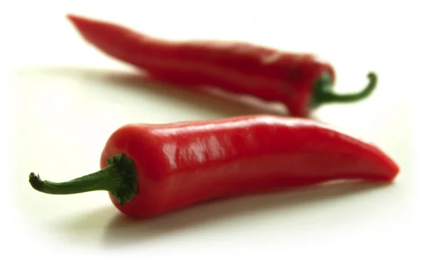 Friss piros chili — Stock Fotó