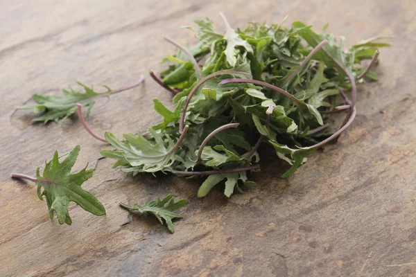 Baby φύλλα σαλάτα λάχανο — Φωτογραφία Αρχείου