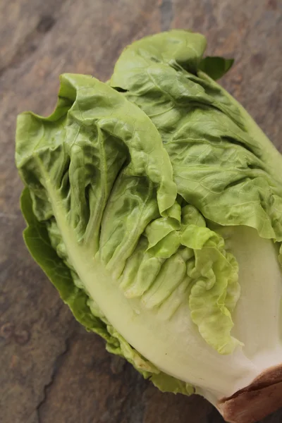 Feuilles de salade de laitue fraîche — Photo