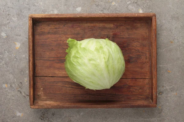 Feuilles de salade de laitue fraîche — Photo