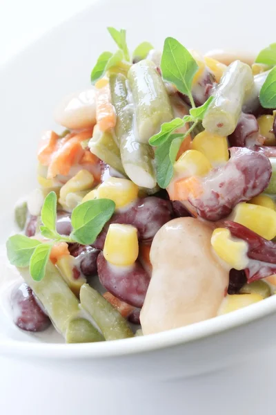 Mixed bean salad in white bowl — Stock Photo, Image