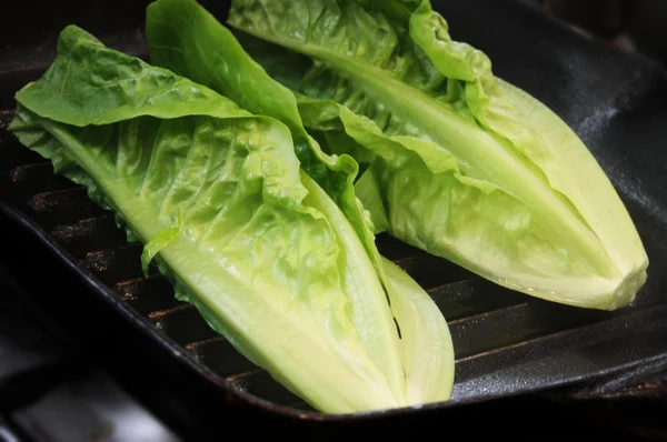 Foglie fresche di insalata di lattuga — Foto Stock