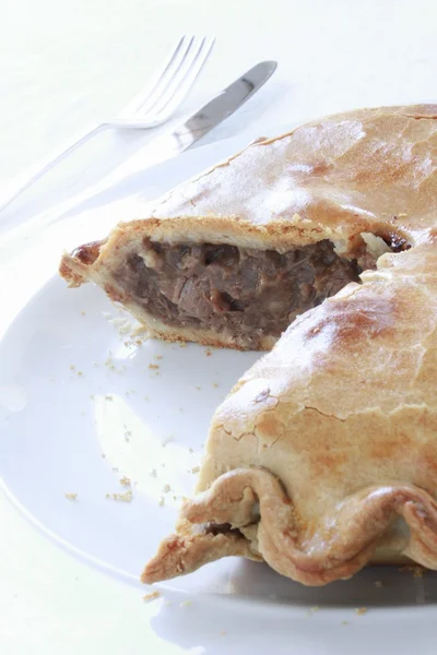 Meat pie pasty — Stock Photo, Image