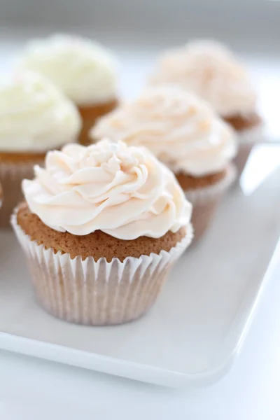 Cup-cake selectie — Stockfoto