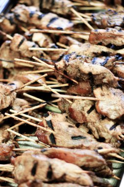 ızgara tavuk kebap alev