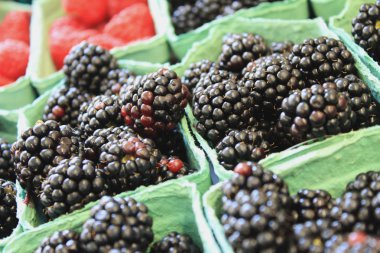 taze siyah çilek ve ahududu