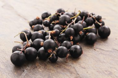Taze çekilmiş blackcurrants