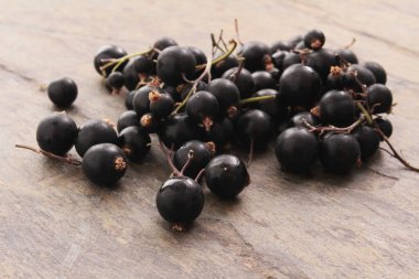 Taze çekilmiş blackcurrants