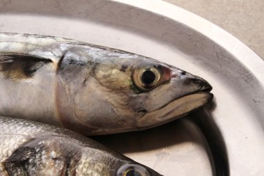 plaka üzerinde taze balık