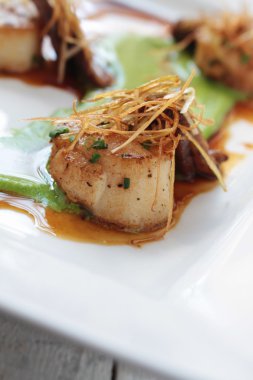 pan fried scallops plated meal
