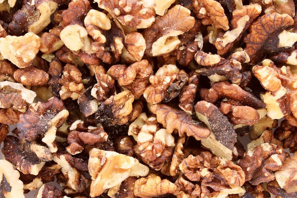 Лес свежие орехи фон
