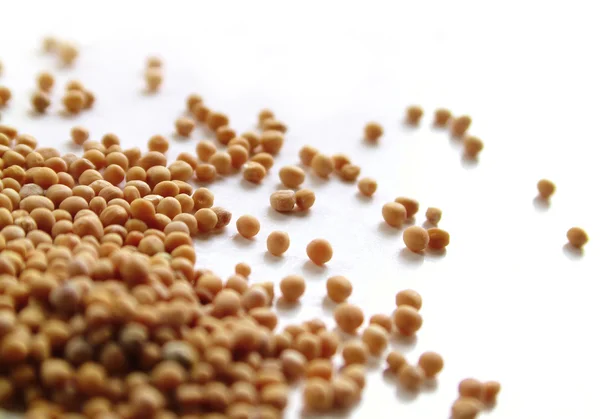 Yellow mustard seeds — Stock Photo, Image