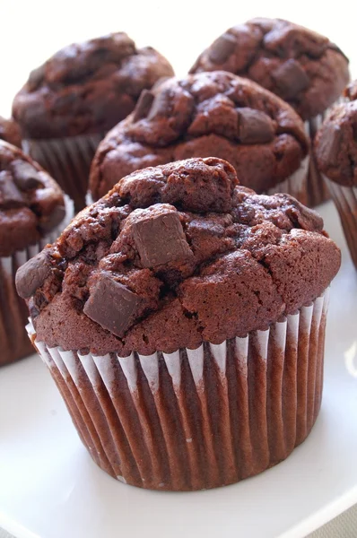 Magdalenas de chocolate recién horneadas — Foto de Stock