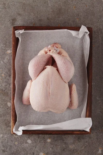 Förberett rå kyckling — Stockfoto