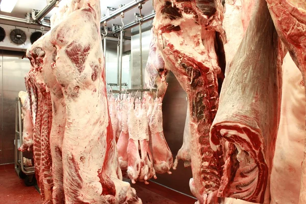 Afslachten vlees close-up — Stockfoto