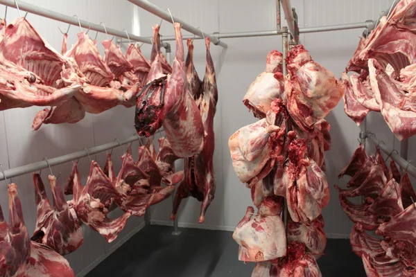 Butchering meat closeup — Stock Photo, Image