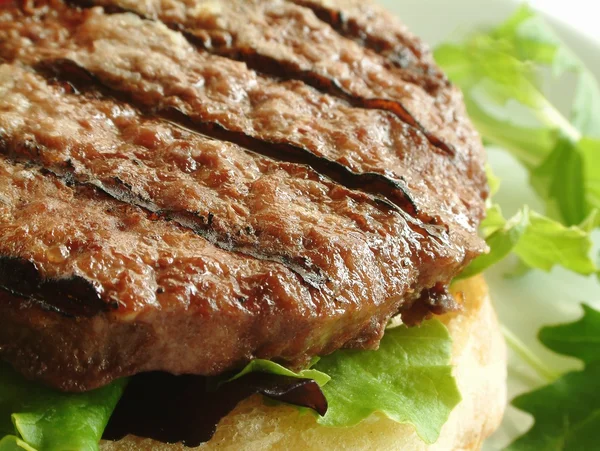 Hamburger v housce closeup — Stock fotografie
