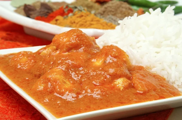 Indisches Currygericht — Stockfoto