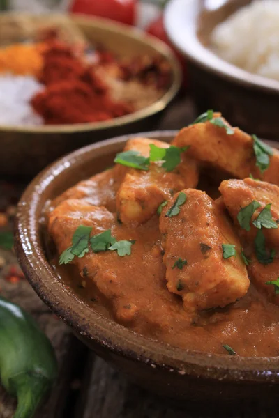 Indian chicken curry meal — Stock Photo, Image