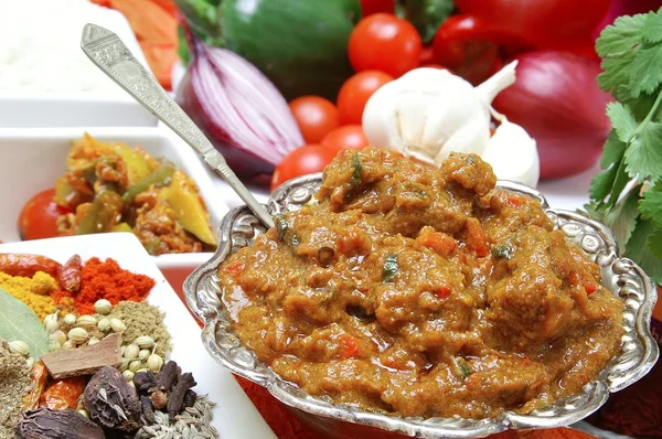 Indiai curry étel — Stock Fotó