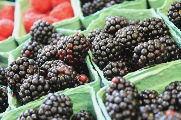 Frische schwarze Beeren und Himbeeren — Stockfoto