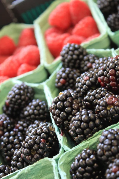 Reife Brombeeren und Himbeeren — Stockfoto