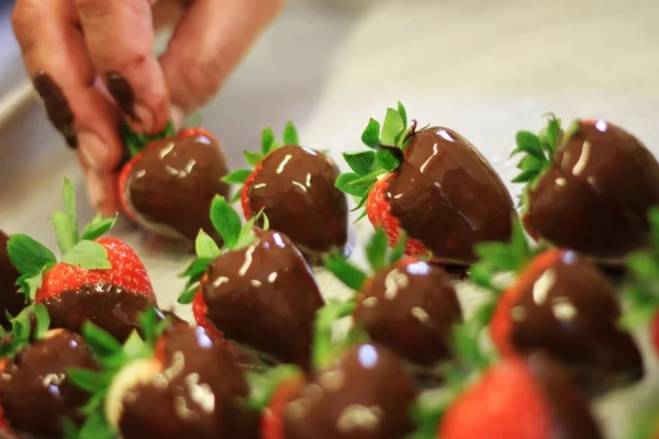 Chocolade gedimde aardbeien — Stockfoto