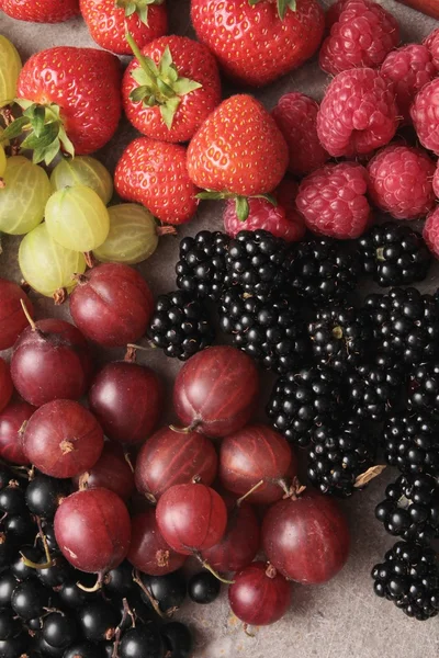 Frutos de baga sazonais — Fotografia de Stock