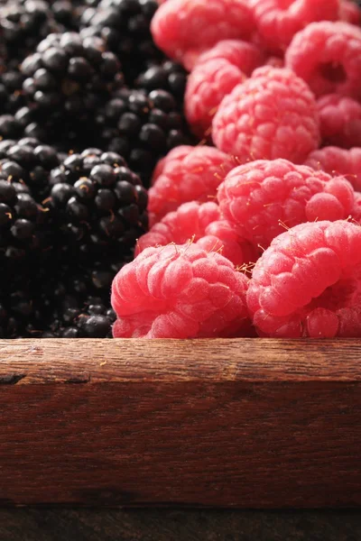 Reife Brombeeren und Himbeeren — Stockfoto