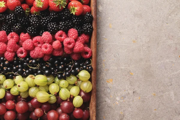 Свіжий літніх фруктів — стокове фото